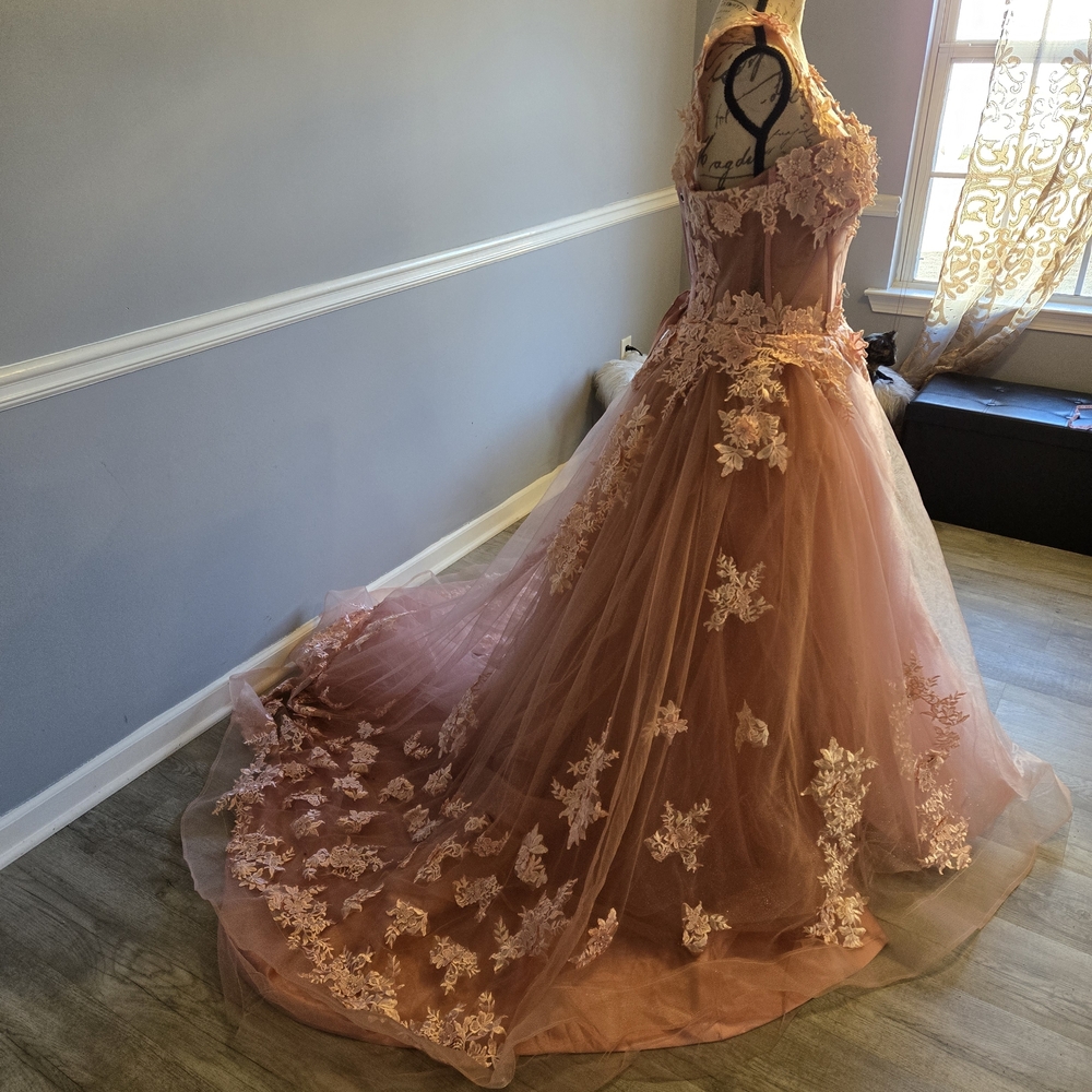 Elegant Pink Floral Lace Evening Gown Wedding Prom Dress - Picture 3 of 8